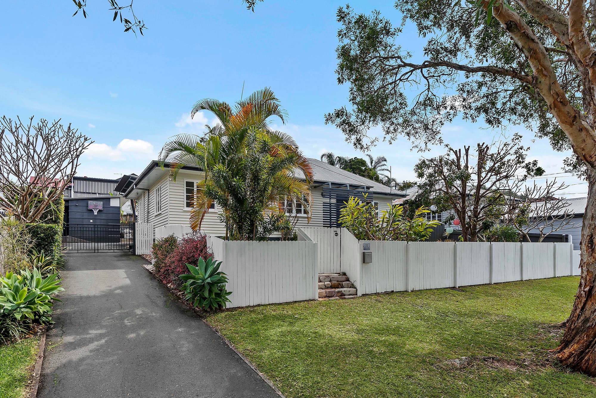 21 Acton Street, Ashgrove - Thumbnail 4