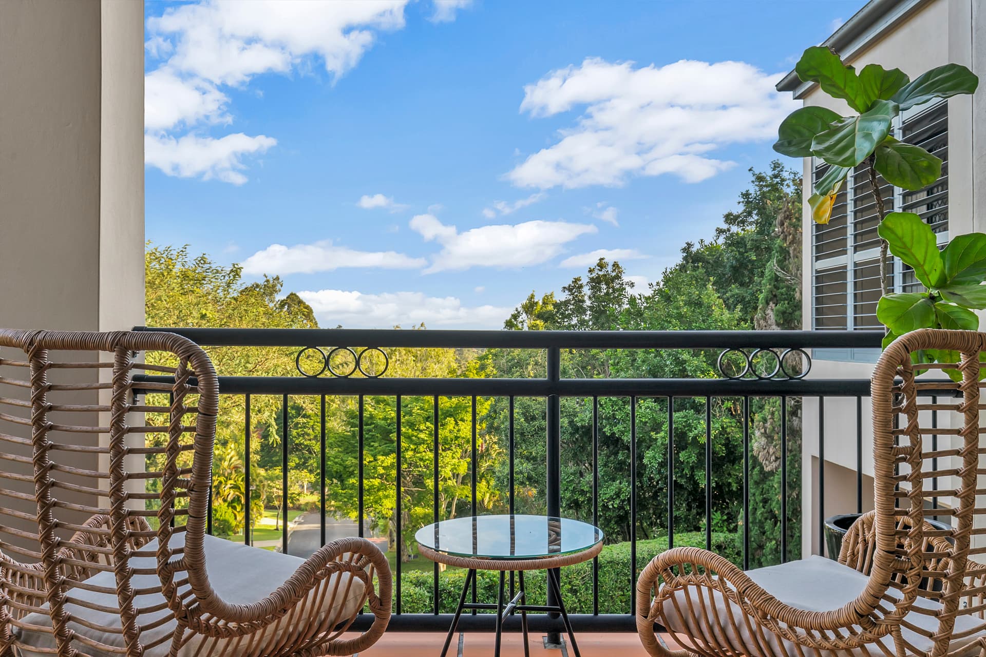 20 Ringway Place, Chapel Hill - Thumbnail 7