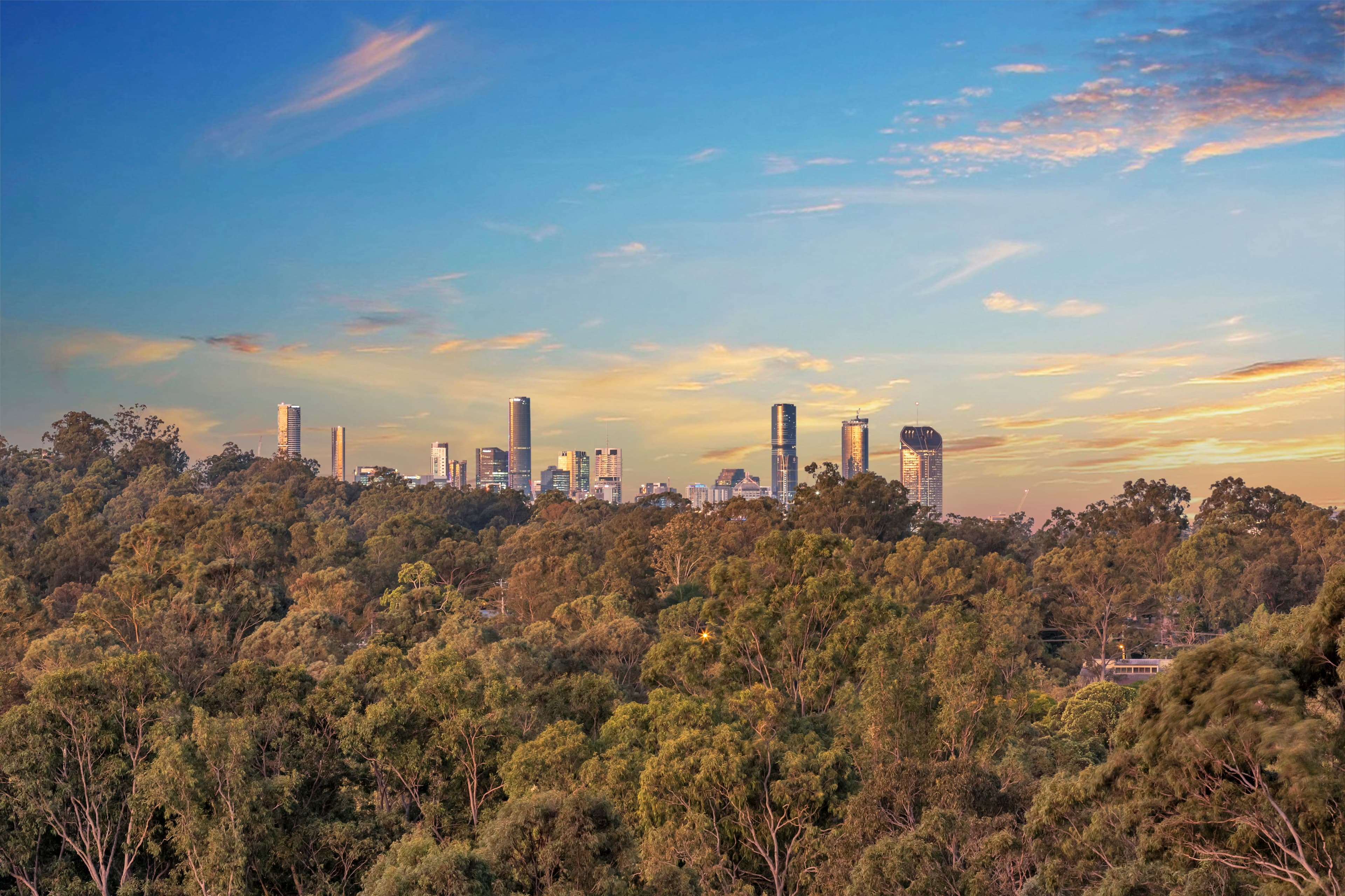 9 Maculata Drive, Chapel Hill - Thumbnail 4