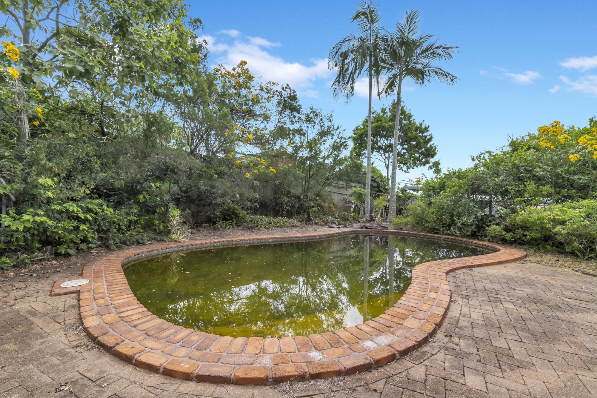 3319 Moggill Road, Bellbowrie - Thumbnail 8