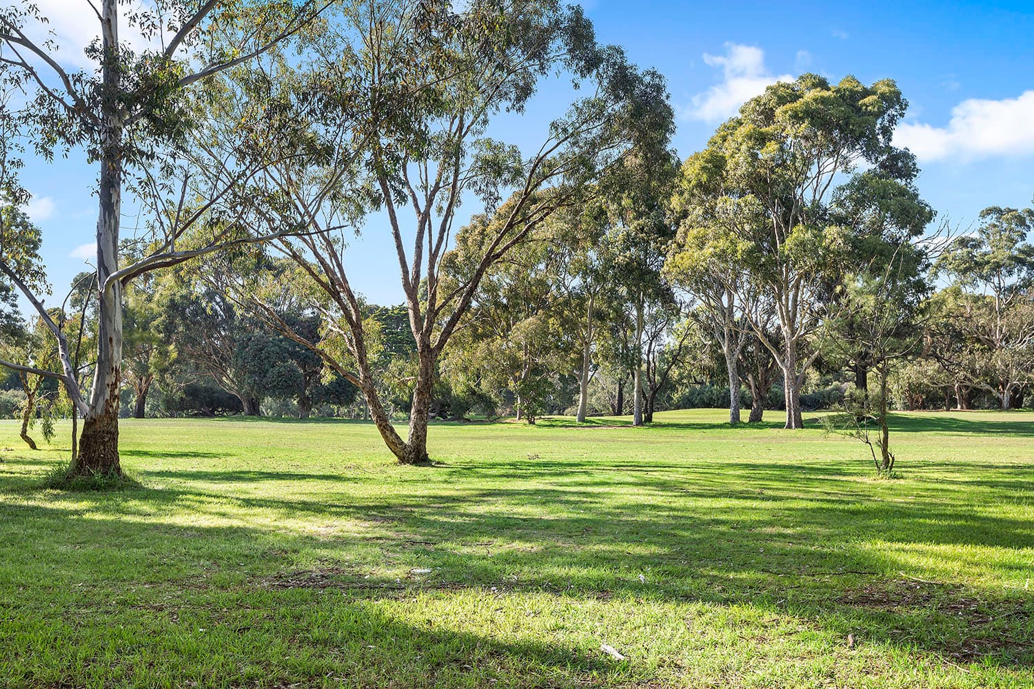 58 Comer Street, BRIGHTON EAST, VIC, Brighton East - Thumbnail 5