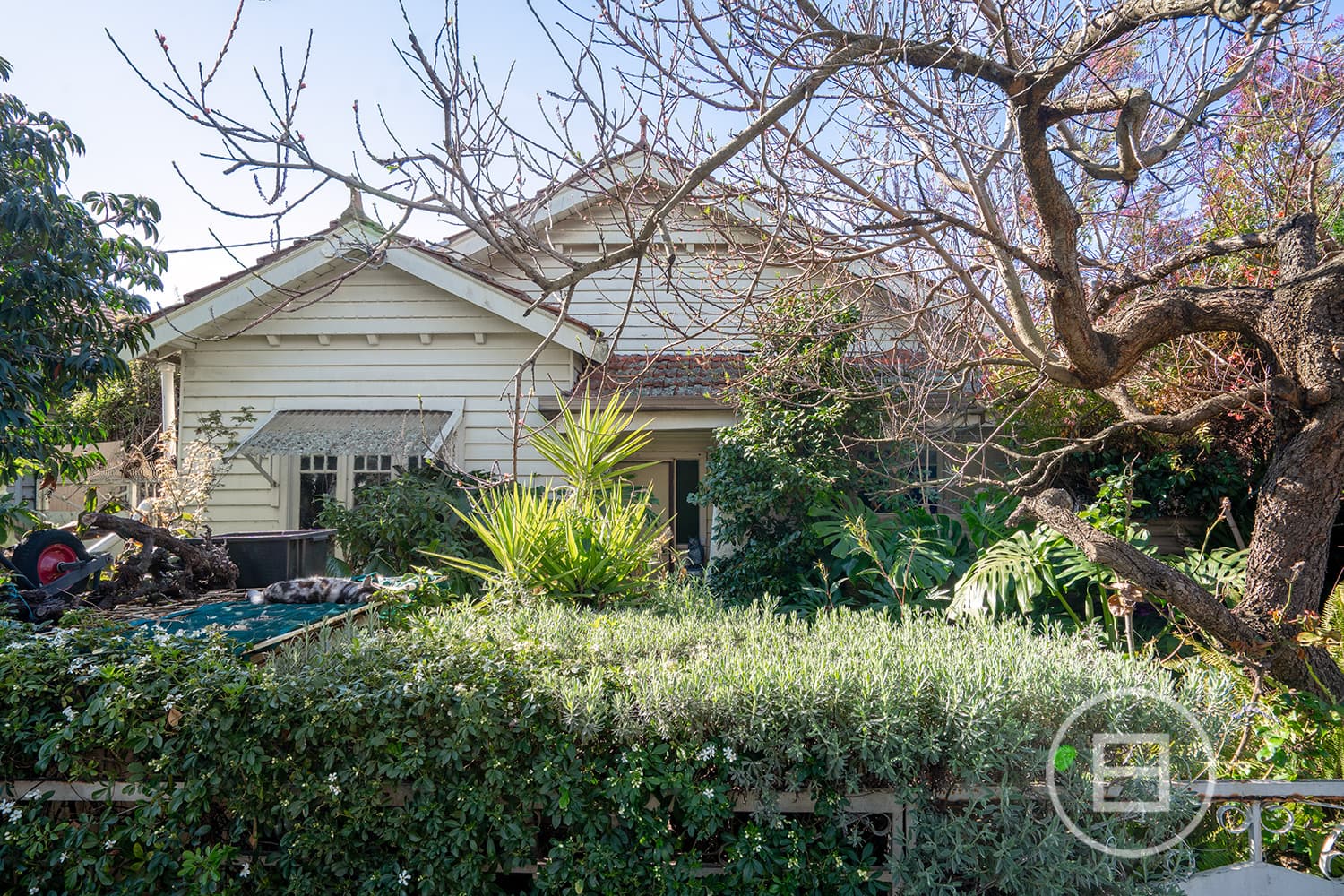 15 Sheffield Street, BRUNSWICK WEST, VIC, Brunswick West - Thumbnail 2