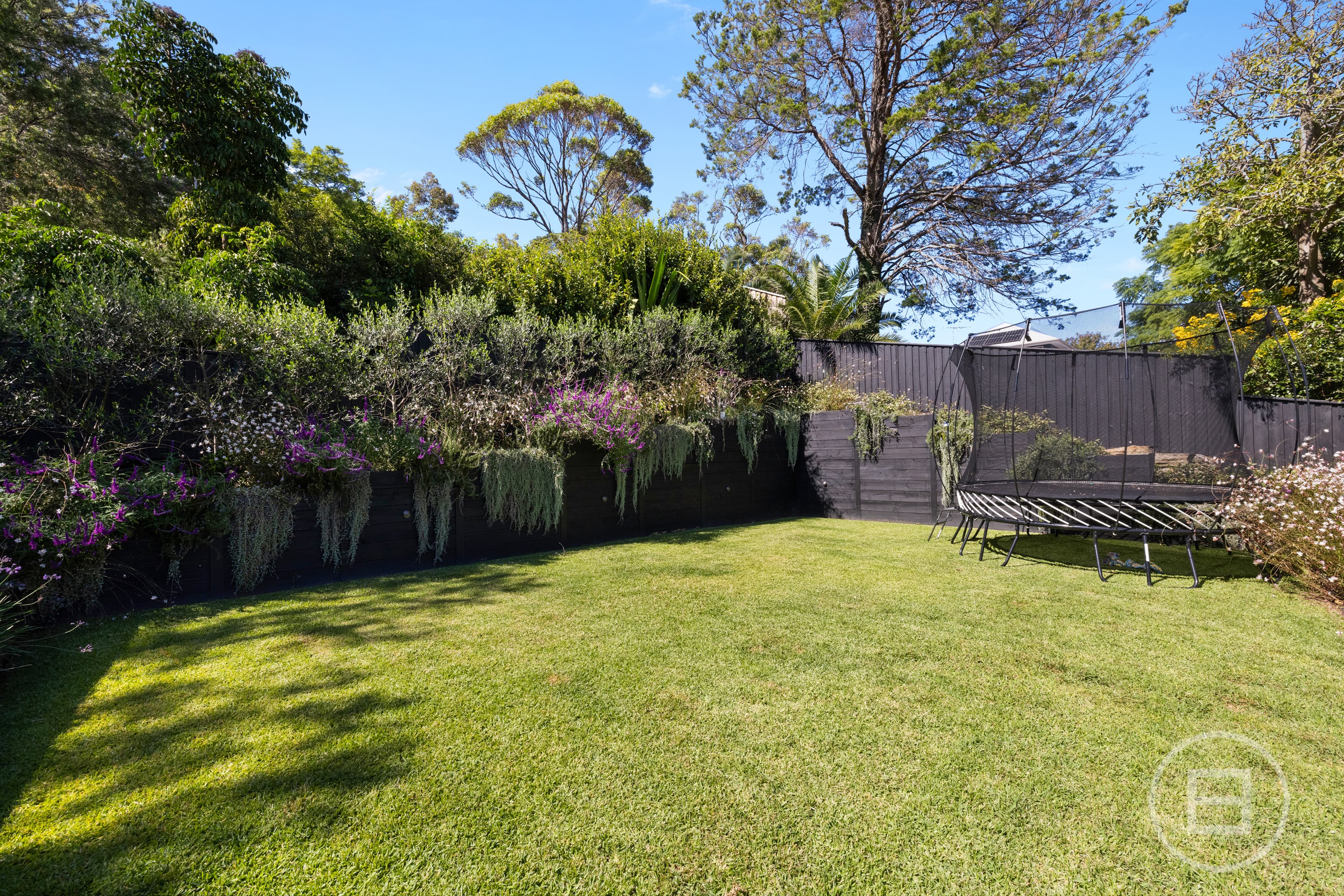 15 Ozone Street, FRESHWATER, NSW, Freshwater - Thumbnail 4