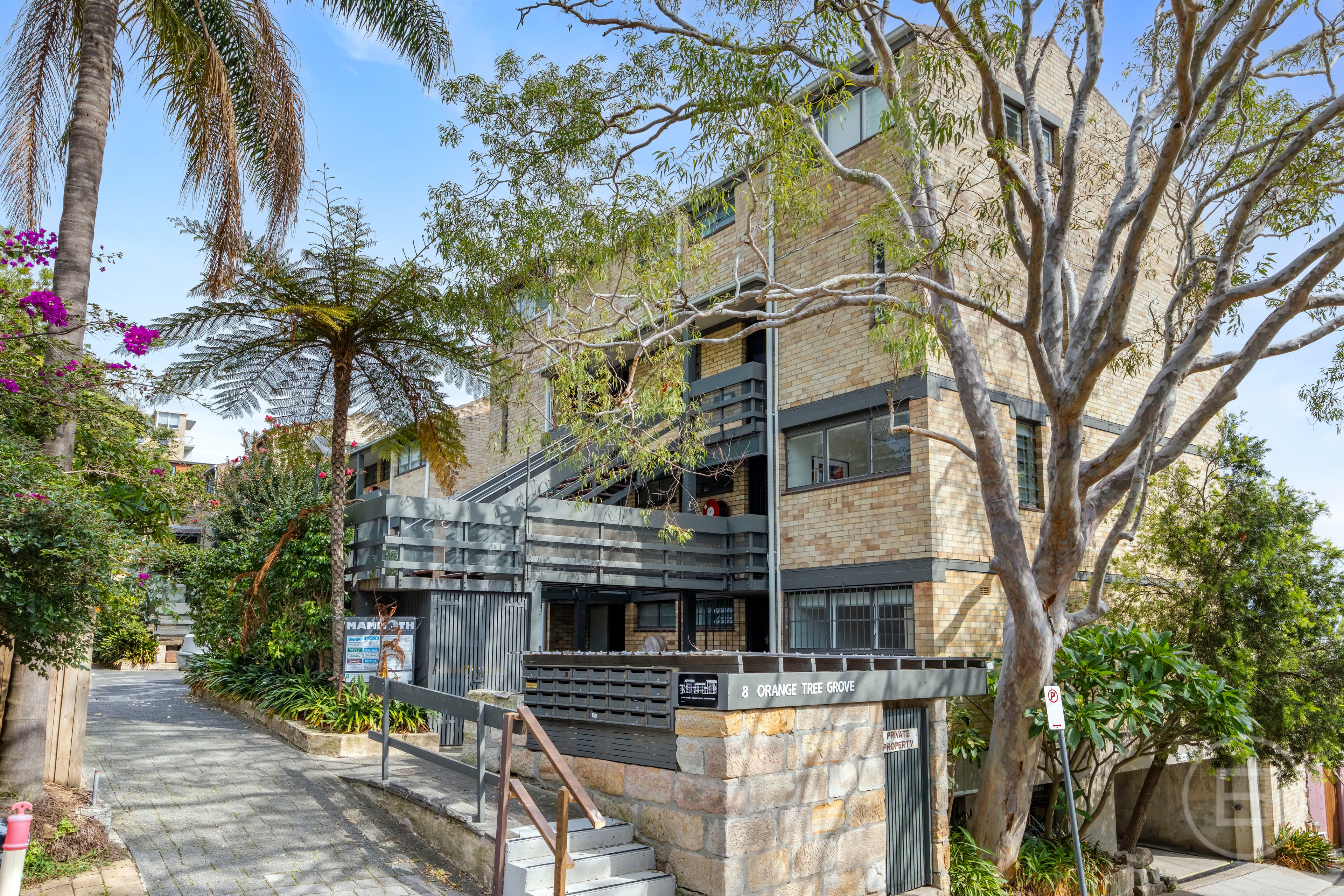 23/8 Bennetts Grove Avenue, PADDINGTON, NSW, Paddington - Thumbnail 5