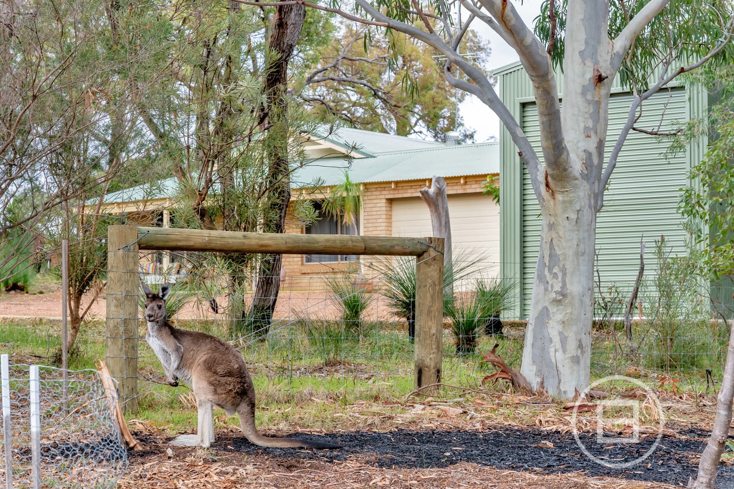 1 Clements Place, WAROONA, WA, Waroona - Thumbnail 2