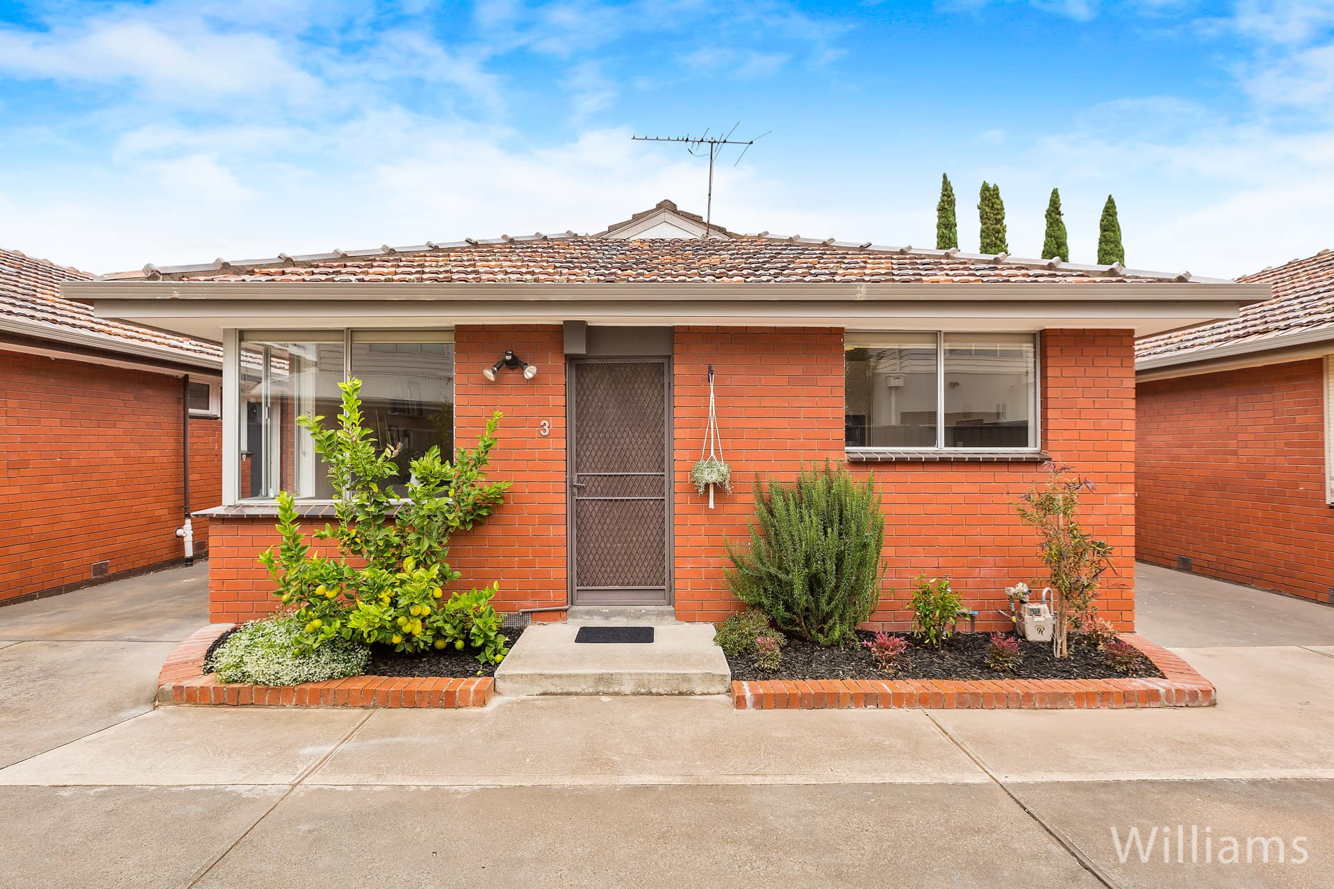 3/33 Bradley Street, Newport - Image 1