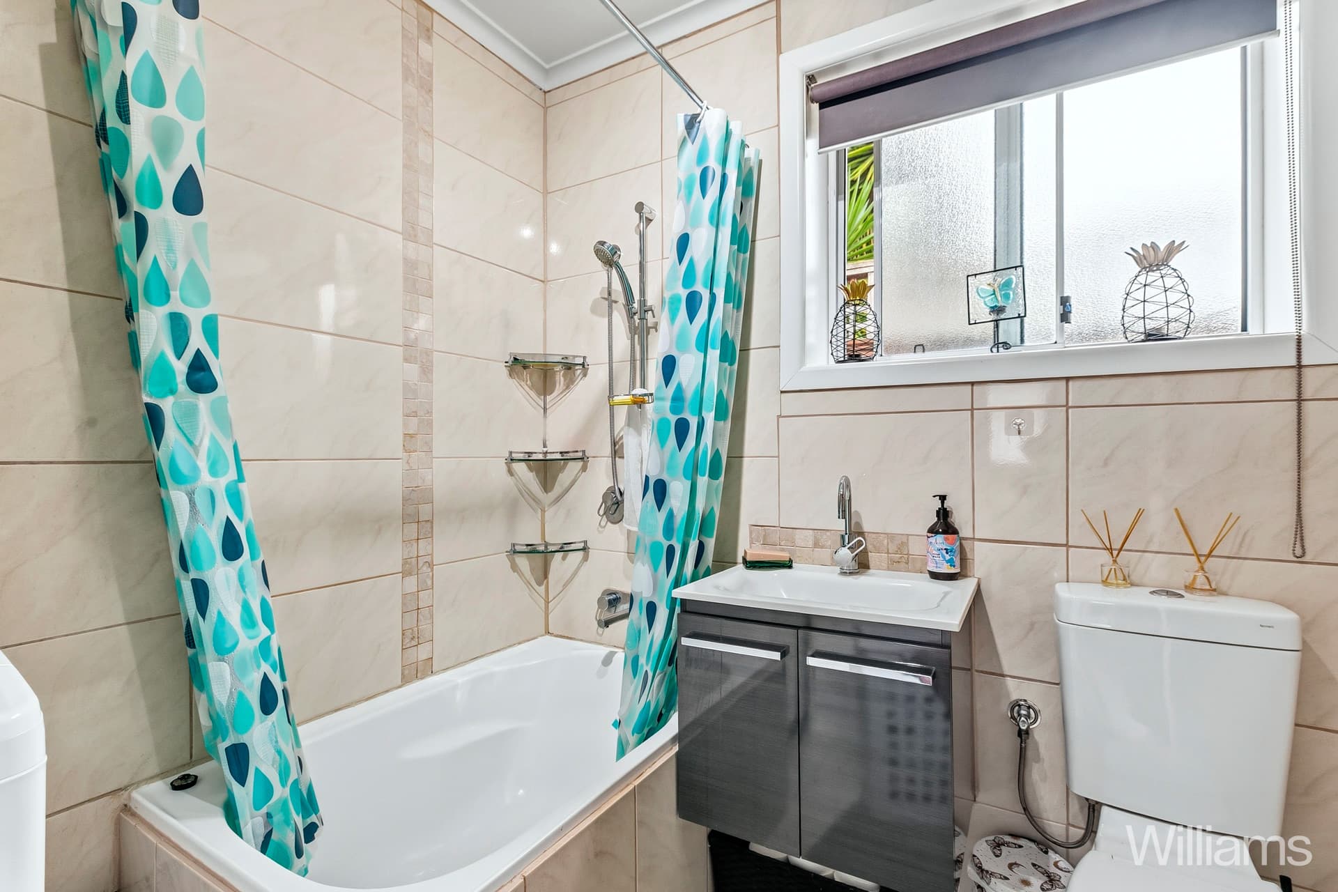 3/119 Park Crescent, Williamstown North - Thumbnail 3