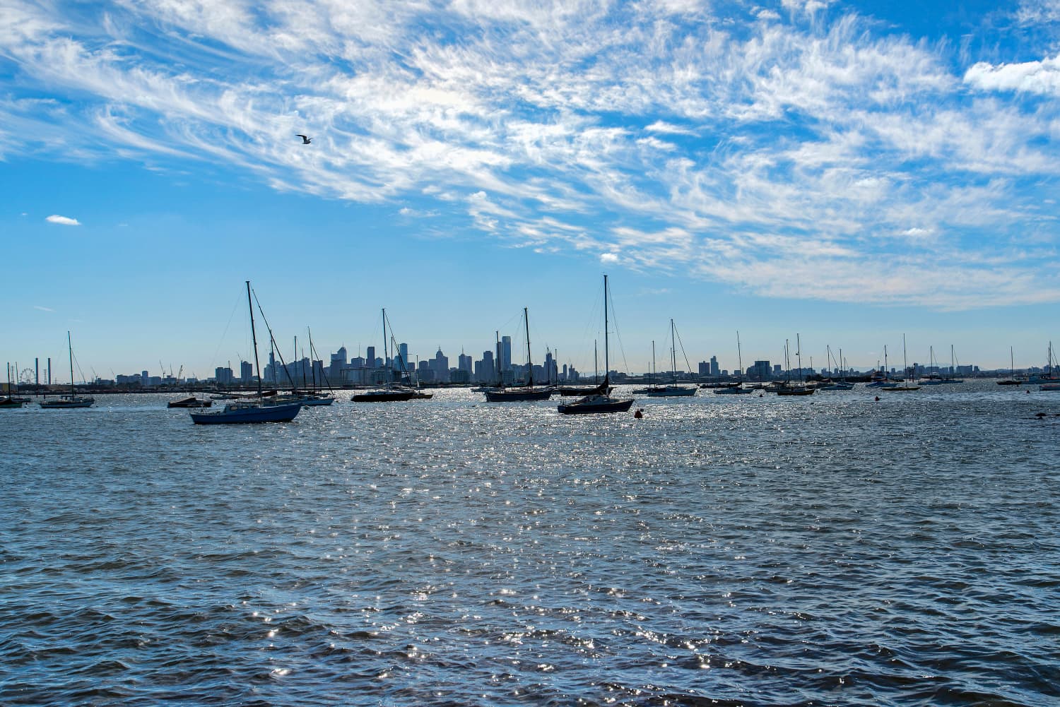 21 The Strand, Williamstown - Thumbnail 5