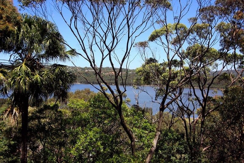 581 Greenhill Road, Burnside - Thumbnail 2