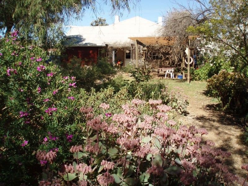 41 Fisher Street, Balaklava SA 5461, Balaklava - Thumbnail 3