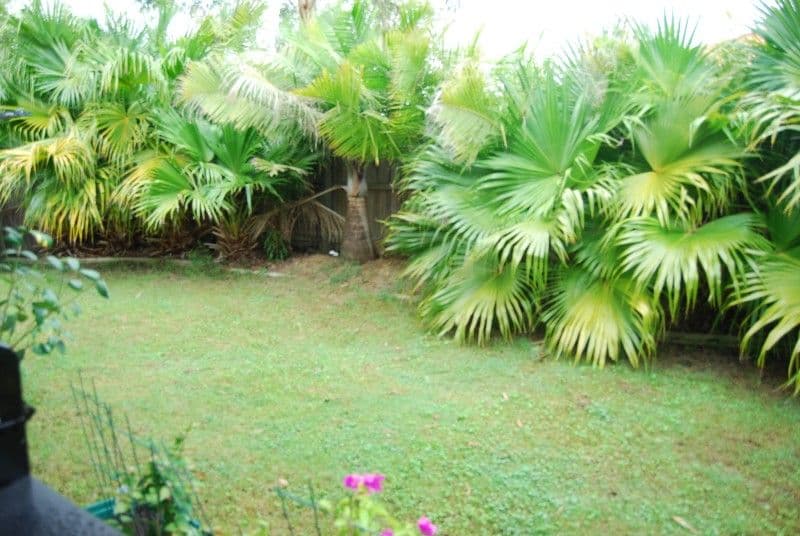 24 Medici Place, FOREST LAKE QLD 4078, Forest Lake - Thumbnail 7
