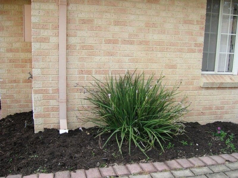3/75 Sayer Street, MIDLAND WA 6056, Midland - Image 1