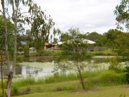 12 Williams Street, WAKERLEY QLD 4154, Wakerley - Thumbnail 8
