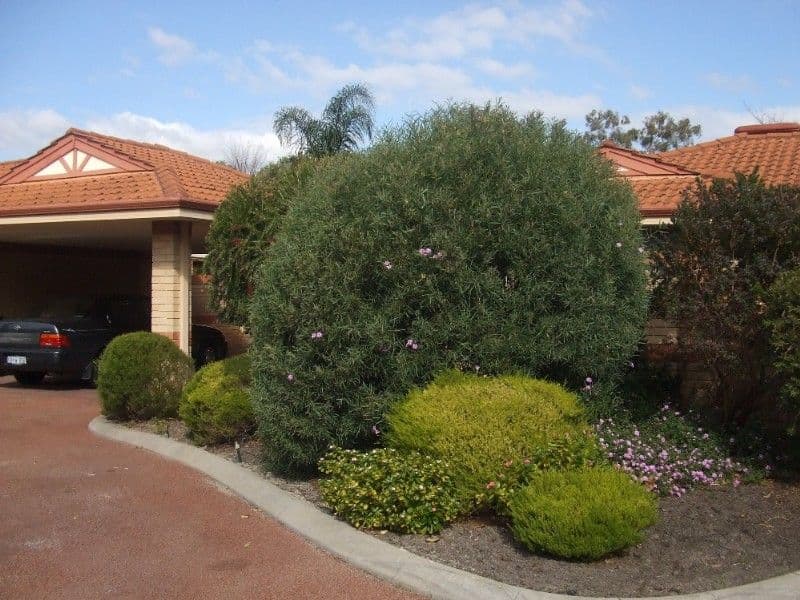 5/95 Kenwick Road, KENWICK WA 6107, Kenwick - Thumbnail 3