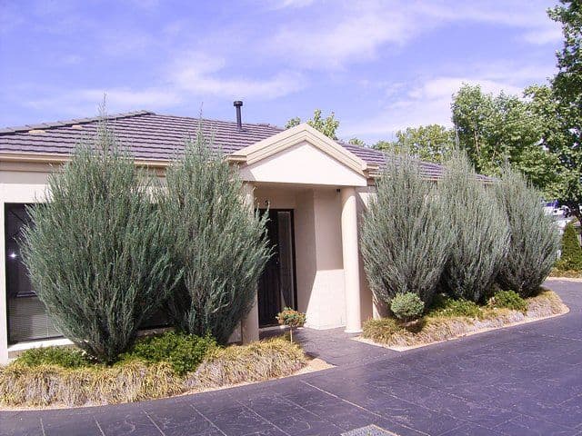 402 David Street, ALBURY NSW 2640, Albury - Image 1