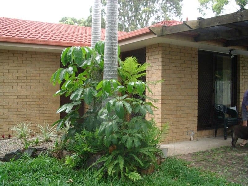 200 Olsen Avenue, LABRADOR QLD 4215, Labrador - Image 1