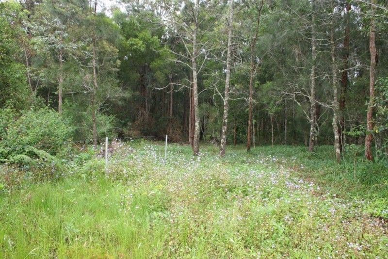 WOODBURN NSW 2472, Woodburn - Image 1