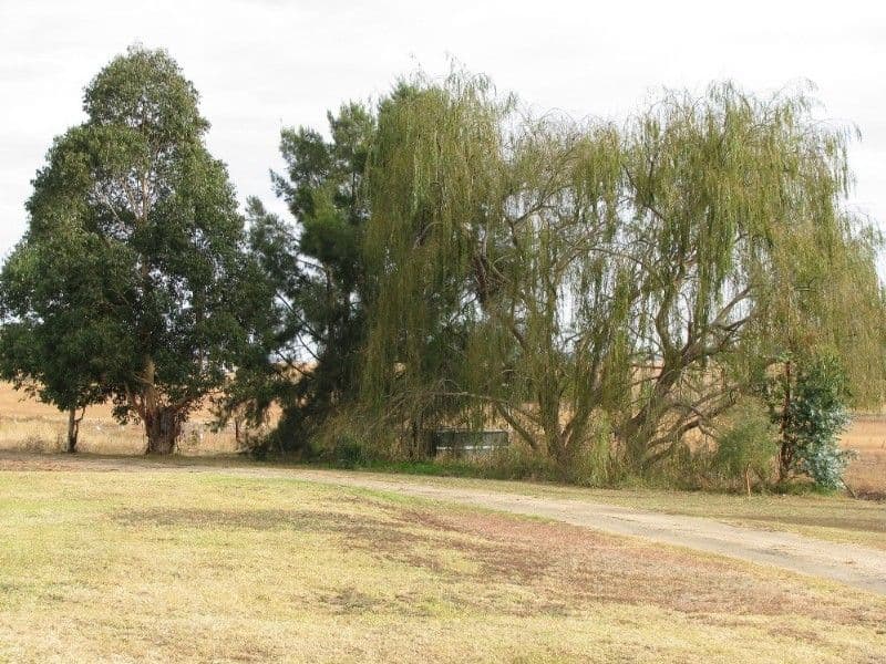 INVERELL NSW 2360, Inverell - Thumbnail 7