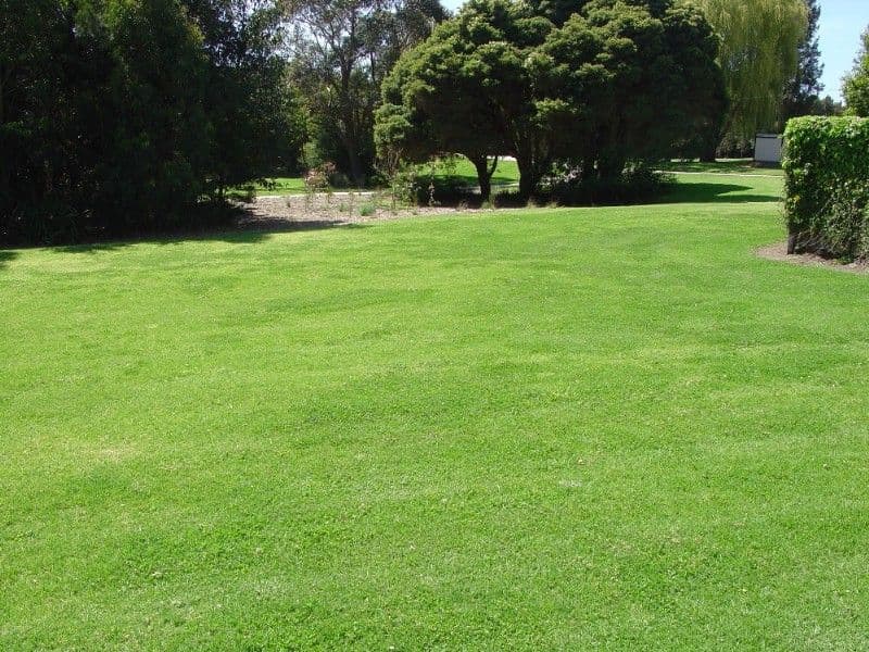 11 Gornall Avenue, EARLWOOD NSW 2206, Earlwood - Thumbnail 2