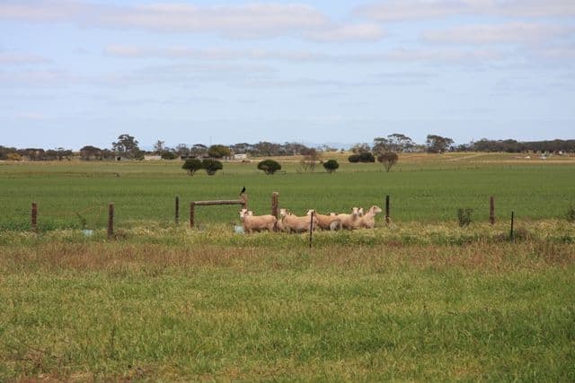 Lot 101 Strathalbyn - Milang Road, MILANG SA 5256, Milang - Thumbnail 5
