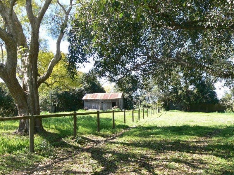 TAREE NSW 2430, Taree - Thumbnail 4