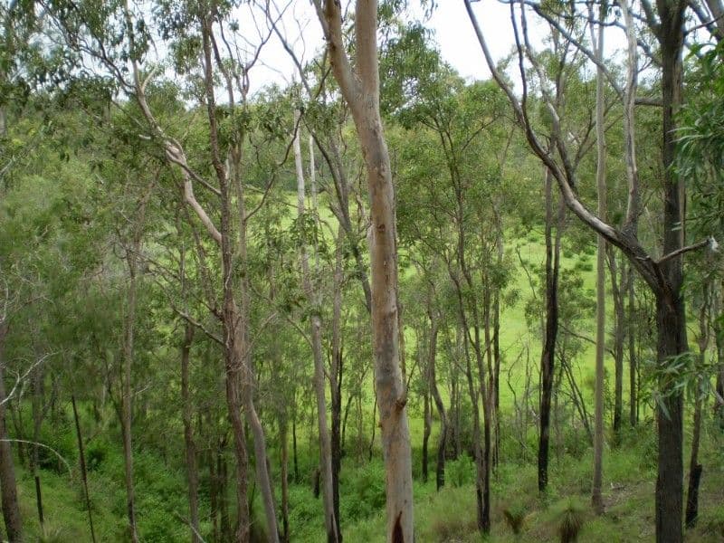 KALPOWAR QLD 4630, Kalpowar - Image 1