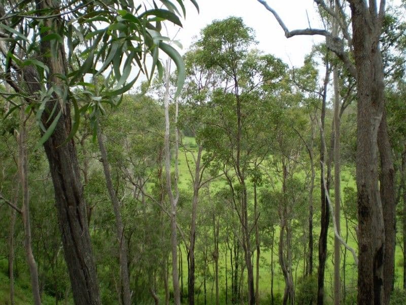 KALPOWAR QLD 4630, Kalpowar - Thumbnail 2