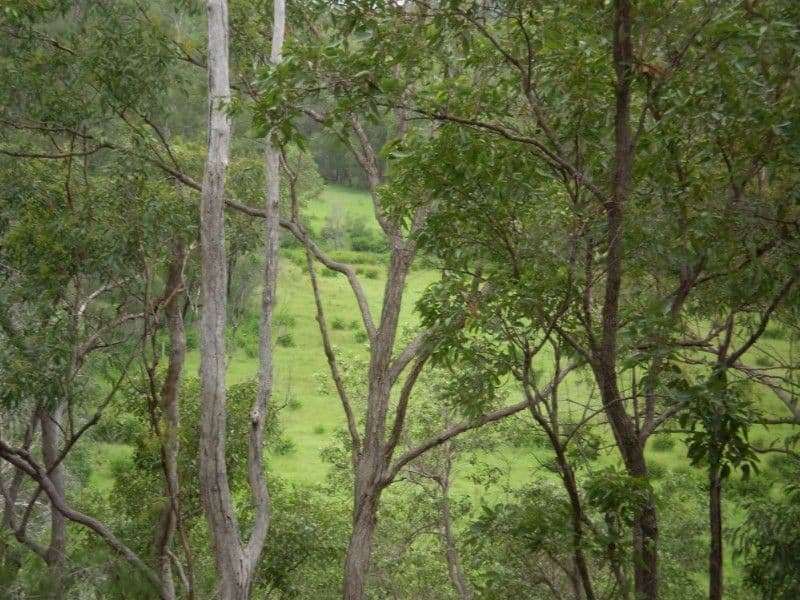 KALPOWAR QLD 4630, Kalpowar - Thumbnail 3