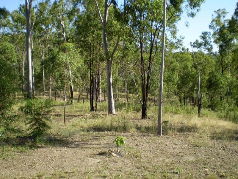 GIN GIN QLD 4671, Gin Gin - Thumbnail 5