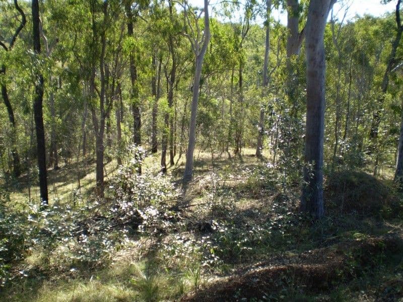GIN GIN QLD 4671, Gin Gin - Thumbnail 7