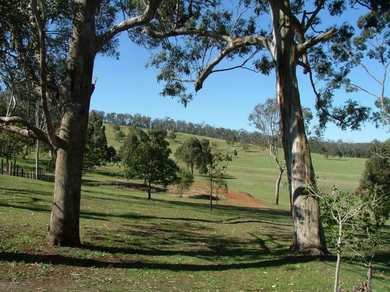 26A Devoncourt Road, CROWS NEST QLD 4355, Crows Nest - Thumbnail 5