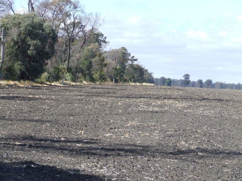 GOONDIWINDI QLD 4390, Goondiwindi - Thumbnail 6