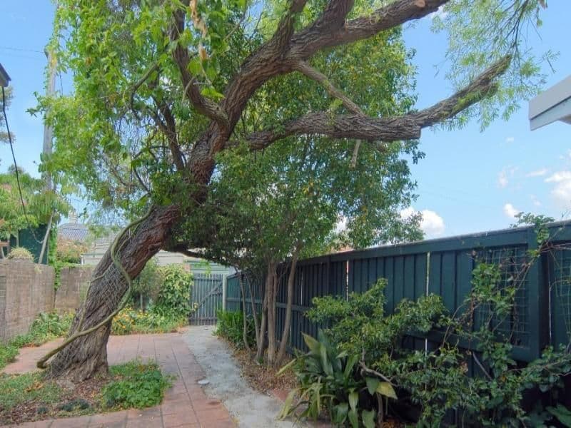23 Arcadia Road, GLEBE NSW 2037, Glebe - Thumbnail 6