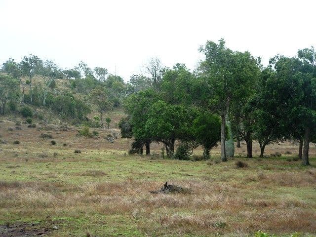 OAKEY QLD 4401, Oakey - Thumbnail 5