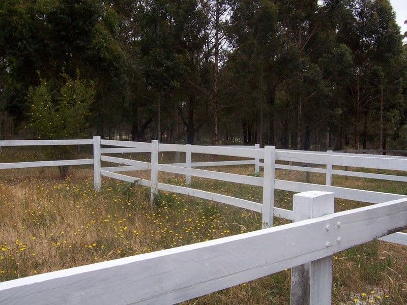 Lot 27 Hind Road, MANJIMUP WA 6258, Manjimup - Thumbnail 5