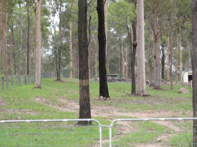REGENCY DOWNS QLD 4341, Regency Downs - Image 1