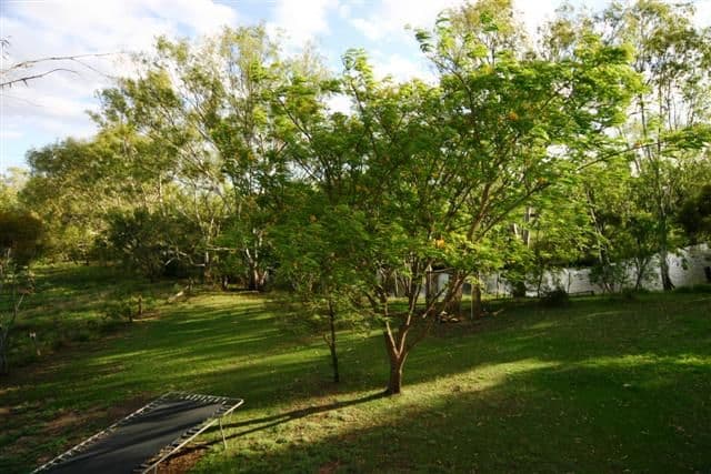 29 James Street, DALBY QLD 4405, Dalby - Thumbnail 6