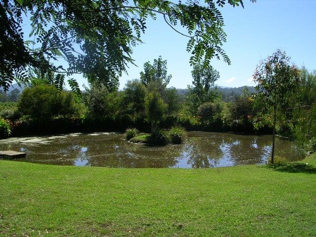 KYOGLE NSW 2474, Kyogle - Thumbnail 5