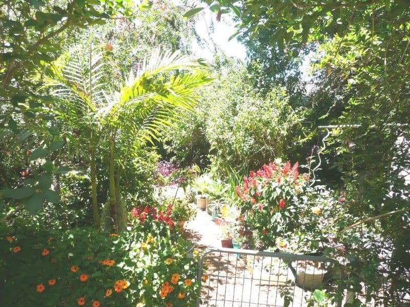 11 Charmhaven Avenue, CHARMHAVEN NSW 2263, Charmhaven - Thumbnail 7