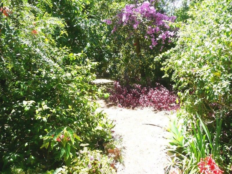 11 Charmhaven Avenue, CHARMHAVEN NSW 2263, Charmhaven - Thumbnail 8