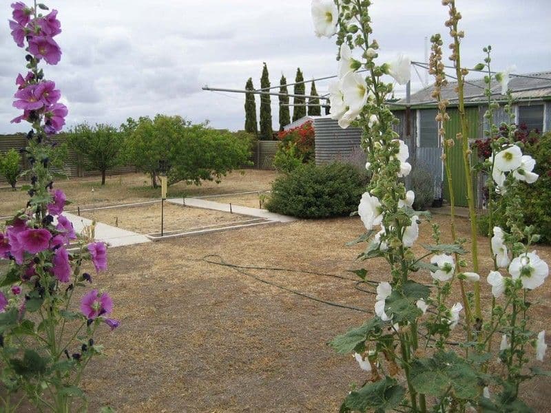 15 Allen Road, TIDDY WIDDY BEACH SA 5571, Tiddy Widdy Beach - Thumbnail 2