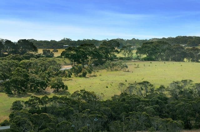55 Ocean View Crescent, TORQUAY VIC 3228, Torquay - Thumbnail 7