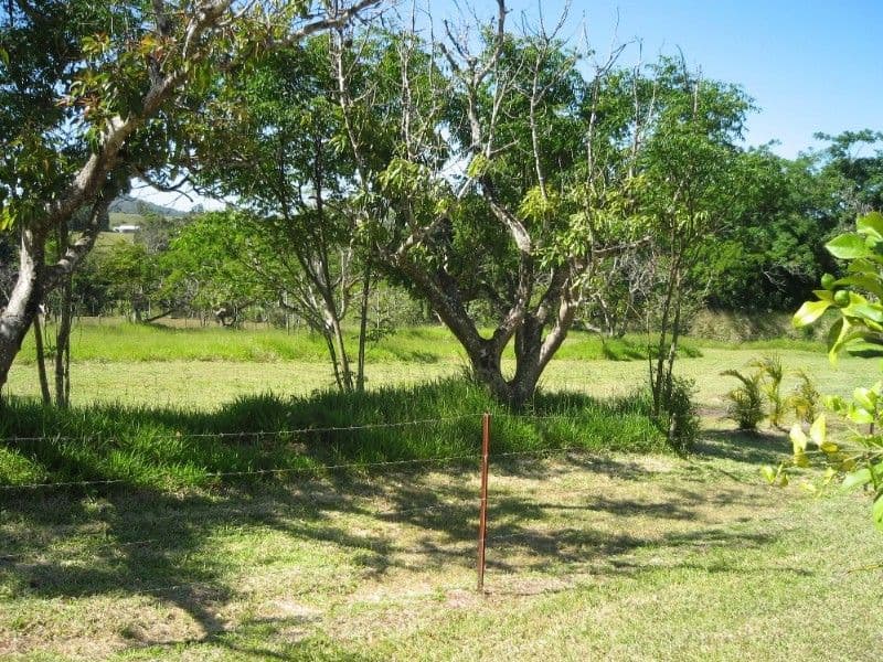 YUNGABURRA QLD 4884, Yungaburra - Thumbnail 2