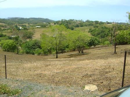 165 Gardiners Road, HABANA QLD 4740, Habana - Image 1