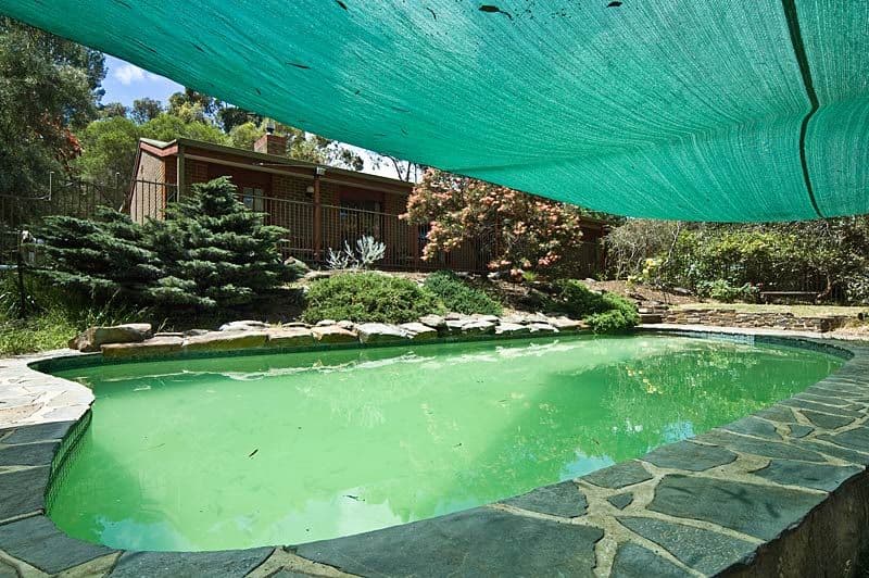 58 Johnson Parade, BLACKWOOD SA 5051, Blackwood - Thumbnail 4