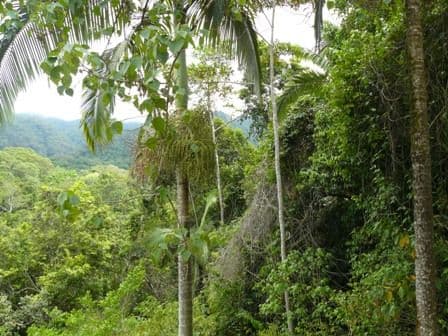 Lot 10 Boulder Road, FINCH HATTON QLD 4756, Finch Hatton - Image 1