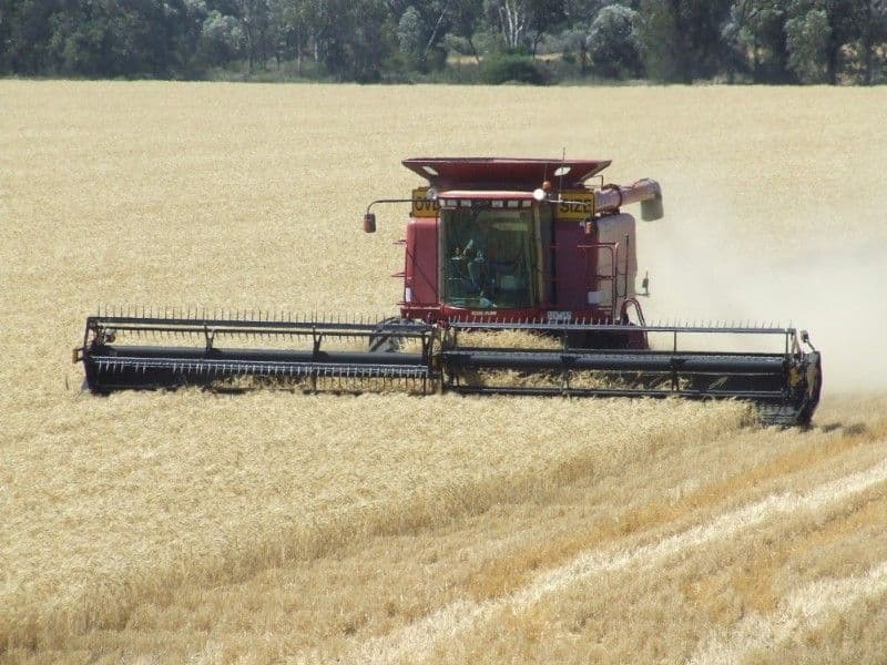 GOONDIWINDI QLD 4390, Goondiwindi - Thumbnail 7