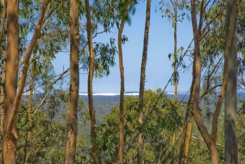 38 Penelope Drive, CORNUBIA QLD 4130, Cornubia - Thumbnail 2