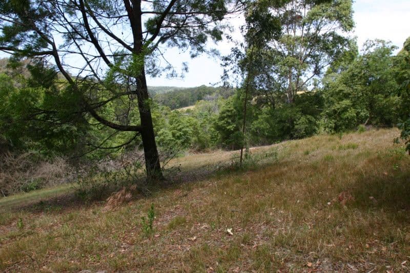 235 Ridge Road, CENTRAL TILBA NSW 2546, Central Tilba - Thumbnail 2