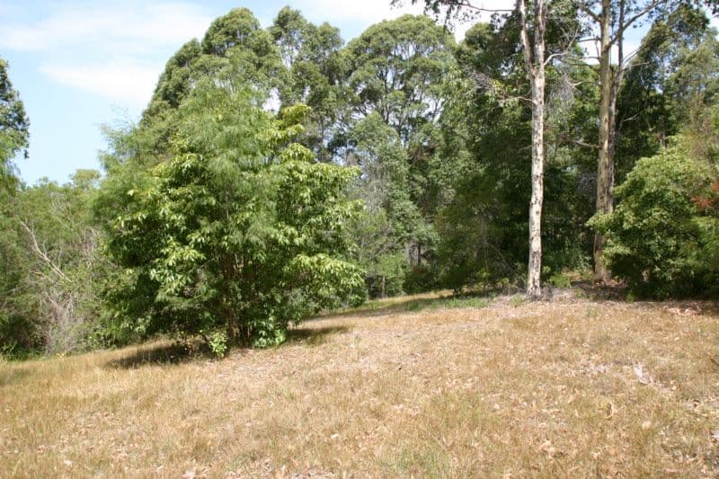 235 Ridge Road, CENTRAL TILBA NSW 2546, Central Tilba - Thumbnail 3